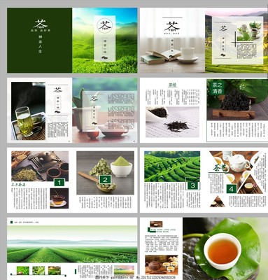 茶韵千年 一叶知秋的东方美学