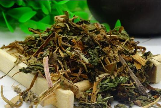 你不知道的蒲公英茶惊人功效——信盈通茶叶